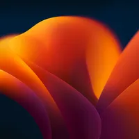 img of New Stuff Coming